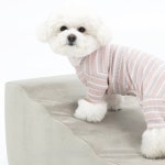 개과천선 개과천선 개과천선 벨라 강아지 펫스텝 다크 M