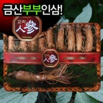 명품금산인삼 건강선물세트 원수삼 13-16뿌리 고급포장