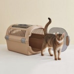 릿첼 강아지 고양이 케이지 캠핑 켄넬 파인 더블도어 카멜브라운