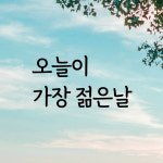 디자인황소 감성문구 레터링 스티커 61 오늘이가장젊은날 명언 좋은글귀 현관문스티커 L
