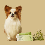 빠삐 초이스 미니 덴탈 프레쉬 치약 30g