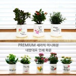 반려 식물 화분 아트디자인 미니 화분 씨앗 받침 세트 선물박스2p 셀프포장 싹트네 싹터요 1개