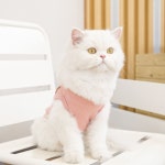 편한 곰들이 강아지옷 고양이옷 와플 면