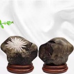 꽃돌 청송 수석 조경석 행운석 개업 집들이 선물 풍수 C타입 C타입 페이지 참고