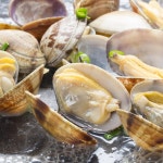 100 국내산 남해안 왕 바지락 1K 2개이상구매시 칼국수200G