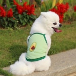 귀여운 아보카도 강아지 고양이 반려동물 애견옷