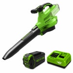 그린웍스 그린웍스 G-MAX 40V 충전 무선 브로워 505