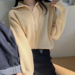 여성 간절기 가을겨울데일리 크롭니트 심플 카라 집업