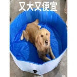 강아지 욕조 애견 목욕탕 스파 목욕통 수영장 풀장