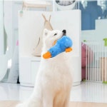 재미있는 인터랙티브 봉제 오리 고양이 장난감 미니 치아 연삭 개박하 새끼 씹기 애완 동물 액세서리