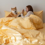 온기브 반려동물과 함께 펫블리 알러지케어 파인펫 옥수수솜 차렵이불 단품 Q 허니옐로우