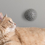 브러쉬 그루밍 셀프 캣잎 흡착 고양이