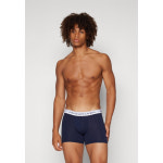폴로 5159487 Ralph Lauren BRIEF 3 PACK - Pants turquoise light dark bl