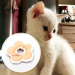 쿠션 깔때기 핑크 꼬깔 애견 강아지넥카라