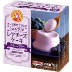 HOKO 롤프 레어 치즈케이크 블루베리 12개 일본 편의점디저트