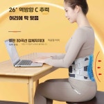 블라썸즈 허리보호대약국 운동 밴드 복대 허리보호대 페이지 참고 5개 강판 자발열형 L