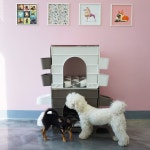 플라팜 플라팜 3in1 강아지하우스 스마트큐브펫하우스 하우스 식기 수납함 하드하우스 스마트세트-올브라운 1개