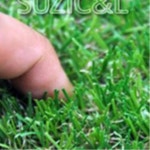 스포츠 전원주택 조경용 인조잔디 2mX25m 테니스장 상가입구 병원 캠핑장