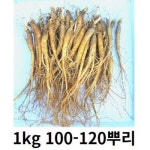 인삼 금산인삼 수삼 뿌리 삼계탕 용인삼업소용 삼계탕인삼 햇인삼 삼계탕재료 금산인삼직거래 750g 뿌리 세척 0 1개 80-100