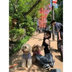 톨즈 백리스 반소매 티셔츠 탑 2col 페이지 참고 M