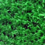 다목적운동장 시공용 인조잔디 2mX33m 골프장 축구장 캠핑장 정원