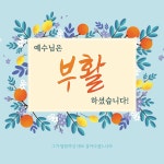 부활절 현수막 - 예수님은 부활하셨습니다 x 23117BLD 50