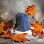 10 개 세트 ws 8930b