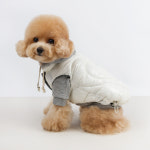 그루밍독 강아지 커플룩 비비드 하트 패딩조끼 1개