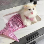 냥아지샵 고양이 인어공주옷 강아지 할로윈 생일의상 코스프레 촬영소품 코스튬 원피스 드레스 1개 M 6-10kg 이내 A