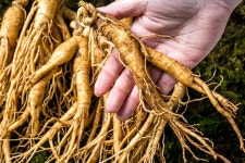 한가람건강원 진공포장 무세척 난발삼 금산 인삼 소 375g