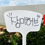 이름표 팻말 수목표찰 화분 일자형 식물 화단