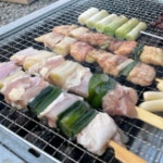 꼬치 캠핑음식 꼬치 숯불 냉동 양꼬치 순살 안주 구이