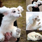 Falkor 드래곤 봉제 인형 네버엔딩 스토리의 베개 장난감 어린이 성인용 귀여운 집 장식