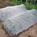 그리담 해충방지망 한랭사