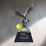 상패타운 홀인원패 이글패 싱글트로피 골프기념 HT 054-2