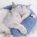 반려동물 머리쿠션 고양이 강아지 베개 반달모양 받침
