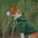 엘리독웨어 Ellie Dog Wear 컴포트 풀오버 애견 후드티 녹색