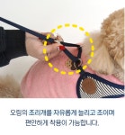 패리스독 강이지 리드줄 하네스 애견 개줄 2M