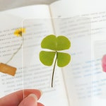 네잎클로버 코팅카드 책갈피 생화 클로버 행운카드 감사선물 수능 취업 합격 기원 기념품 답례품