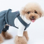 강아지외출복 애견멜빵 올인원 패션골덴멜빵