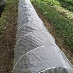 재단 농업 비닐 텃밭 농사용 온실 만들기 보온 터널 주말농장 비닐하우스