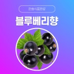 한솔식품원료 합성향료 블루베리향 5kg 허니향 5kg 1개