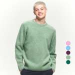 헤지스 헤지스 남성용 셔틀랜드 울 쉐기독 크루넥 니트 100 라이트 그린