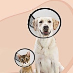 5호 강아지넥카라 애견넥카라 개넥카라 중성화넥카라