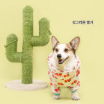 MOSAIRATION강아지 바람막이 올인원 우비 소형견 중형견 방수 레인코트 애견 비옷 2L 1개