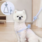 강아지 별리드줄 애견 산책줄 소형견 중형견 야외산책