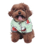 몽슈슈 몽슈슈 강아지 리버시블 자켓 1개