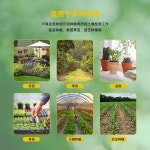 토양 수분 측정기 테스터기 실외용 잔디 실외 산도