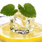 아크릴 얼음 모형 25개