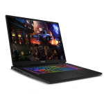 MSI MSI 소드 17 HX B13VGKG-i9 QHD